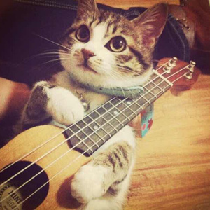 暴夜漫画免费版下拉式6漫画
